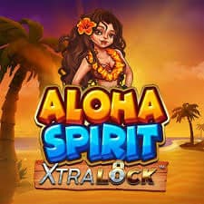 Aloha Spirit XtraLock Slot Cover