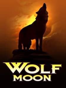 Wolf Moon Slot Cover