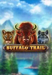 buffalo trail slot cover
